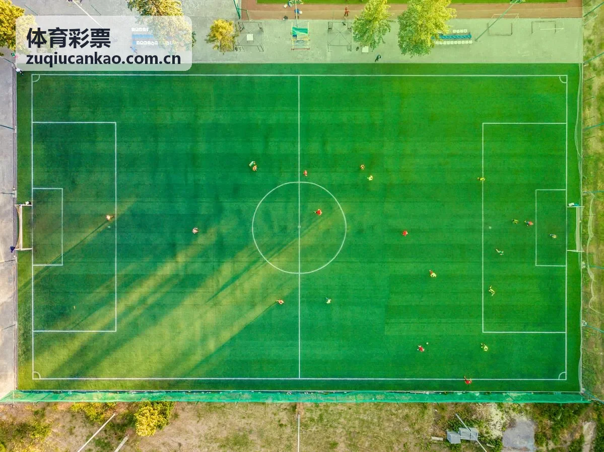 体育彩票理性参与观点